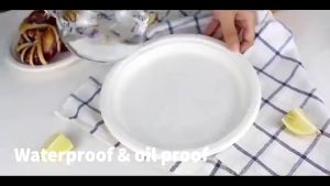 50pcs. Disposable Plate 9-10" Extra Strong Extra Thick Microwave Safe Paper Plate Cut Oil Resistant COD