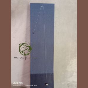 Kenceh Lumut 1 Kail Daimaru