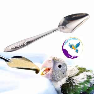 1 muỗng đút chuyên dụng cho vẹt non bằng thếp không gỉ