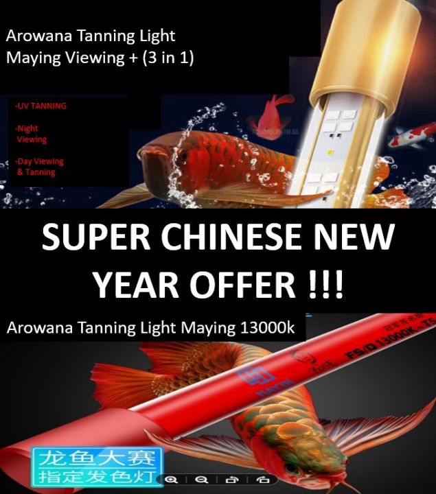 AROWANA TANNING LIGHT テンニング Amazon.com : Mayin Arowana Tanning Light Aquarium Special