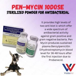 Pen-Mycin Sterile Powder for Pigs Poultry Cattle vet Solution