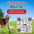 รีวิว จากผู้ใช้จริง น้ำยาไล่ยุง ไล่แมลง กำจัดเห็บ หมัด แมลงหวี่ ริ้น ไร ผลิตจากสารสกัดธรรมชาติ 100% ⭐️แถมฟรี⭐️หัวฉีดฟ็อกกี้ 1 ชิ้น Chaiwan ชัยวาน ป้องกันยุง ป้องกันแมลง ป้องกันเห็บหมัด. 