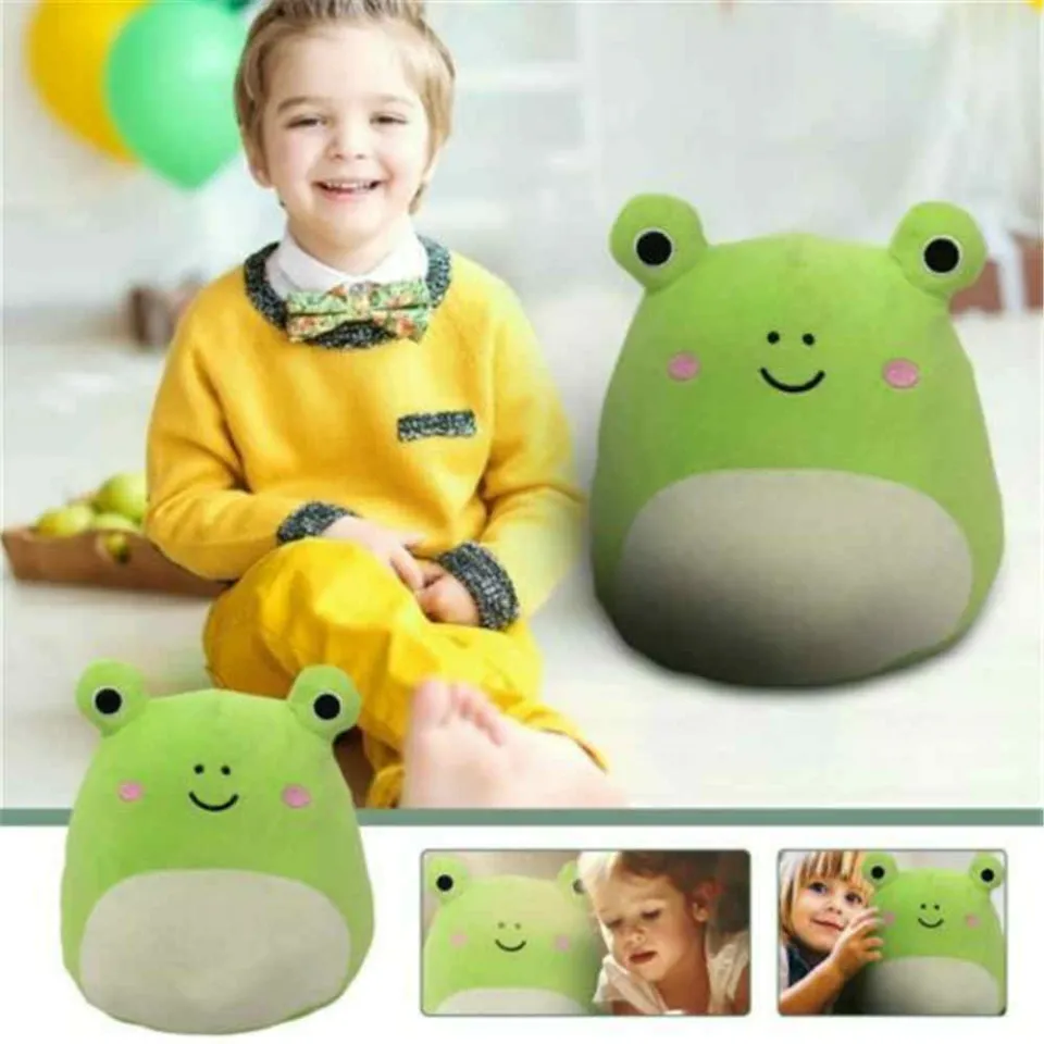 20/30/40cm Squishmallows Wendy The Frog Plush Toy Stuffed Animal Children  Gift