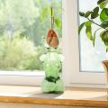 Propagation Vases for Plants Plant Propagation Jars Unique Body Avocado Vase Glass Planter Perfect for Seed Starting, Water Rooting and Home Decor. 