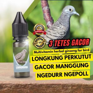 Vitamin Burung Perkutut extra Ginseng Korea bikin gacor & sehat