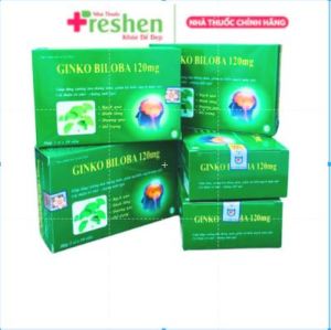 Viên uống GINKGO BILOBA 120MG Hỗ trợ phục hồi sau tai biến mạch máu não
