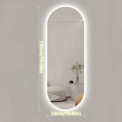 Oval Full Body LED Smart Mirror Nordic Minimalist Style 3 Color Dimmable Illuminated Wall & Floor Mount Smart LED Dressing Mirror