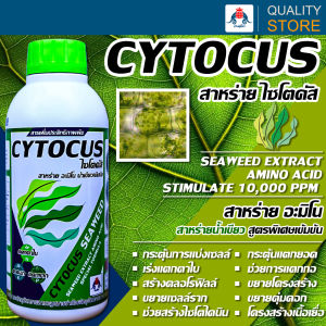 Cytocus Amino Seaweed ไซโตคัส ขนาด 1 ลิตร สาหร่าย อะมิโน น้ำสีเขียวเข้มข้นสูง คีเลต กระตุ้นการแบ่งเซลล์ แตกยอด แตกใบ