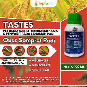 Obat Padi Sundep Paling Ampuh / Obat Padi Untuk Hama Wereng / Obat Padi Daun Kuning Kerdil / Pupuk Nutrisi Tanaman Padi / Obat Semprot Hama Padi / Pupuk Pelebat Padi