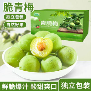脆青梅 青口梅 脆梅 果脯蜜饯 Crisp Green Plum Refreshing Plum Net Red Mussel Plum Sour Sweet Crisp Fresh Green Plum Casual Snacks