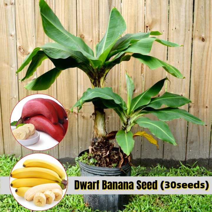 diy planter box wood Garden Planter Box