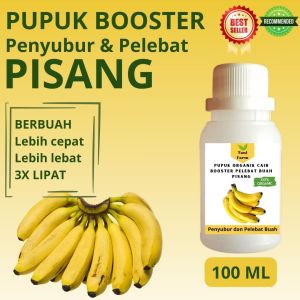 Pupuk Pisang Cepat Berbuah / Pupuk Pelebat Buah Pisang / Pupuk Booster Pisang Cair