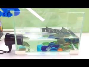 EPTTECH Transparent Container Water Aquarium Fishbowl Water Pump Controller Auto Top Off System Reef TankReplenisher