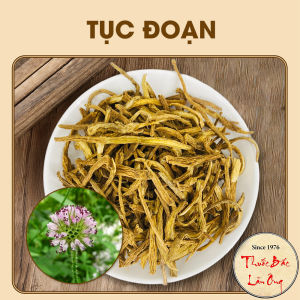 Tục Đoạn 100g Hàng Loại 1 Bổ Can Thận Gân Cốt An Thai Lợi Sữa