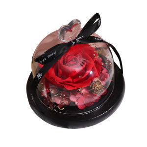 Seangel Eternal Rose- Preserved Flower Rose Handmade Fresh Flower Rose with Beautiful Creative Heart Design Gift for Valentines Day Mothers Day Christmas Anniversary Birthday Thanksgiving Girls