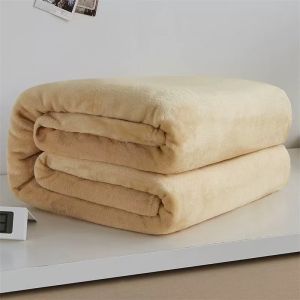 Home and Hotel Plain Microfiber Blanket Hypoallergenic 150x200cm/180x220cm Soft Home Living Bedding and Hotel Blanket Quality