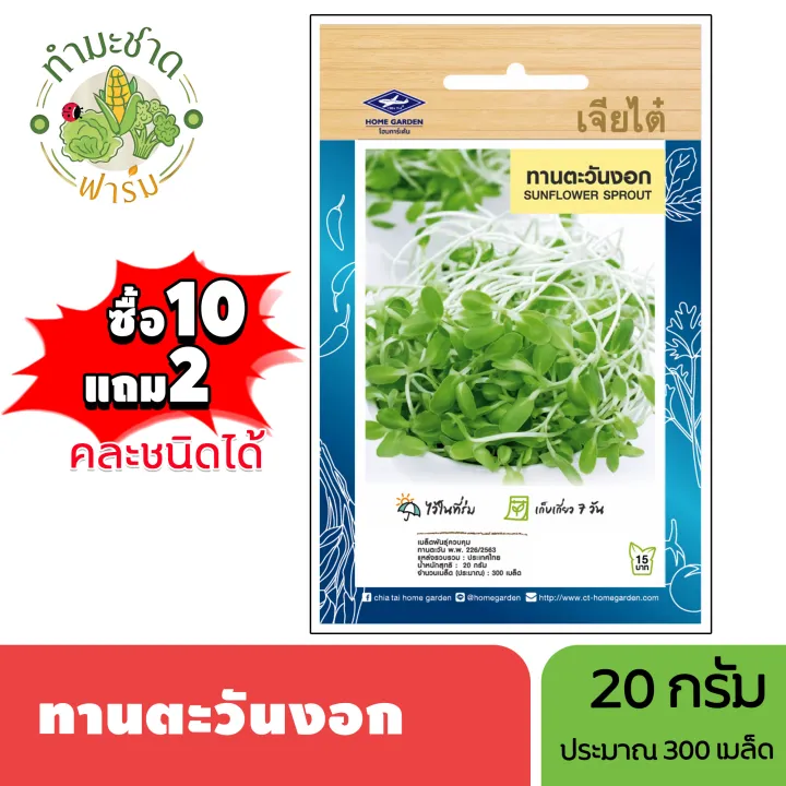 เจียไต๋ เมล็ดพันธุ์ทานตะวันงอก 20 กรัม (ซื้อ10แถม2)