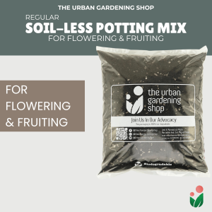 8-liter Soil-less Potting Mix For Flowering and Fruiting Plants  Infused with Phosphorus from Guano that contains Plant Nutrients that Induce Flowering and Bigger Fruits