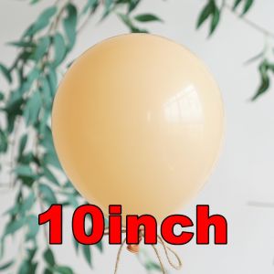 10inch 10pcs Retro Balloon Apricot Balloons and Coffee Balloons for Birthday Party Ins Balloons