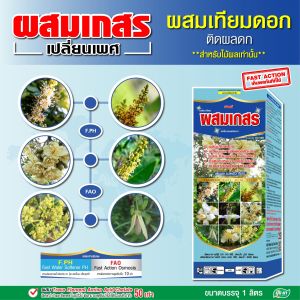 ผสมเกสร เปลี่ยนเพศ ติดผลดก ขั้วเหนียว อ็อกซิน อะมิโนพืช สูตรไม้ผล ปุ๋ยยา หลายขนาด