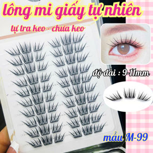 Mi Giả Hàn Quốc 504 Độ Dài 8-11mm Chất Liệu Mi Giấy Mỏng Nhẹ 10 Hàng GREEN Thủy Mi