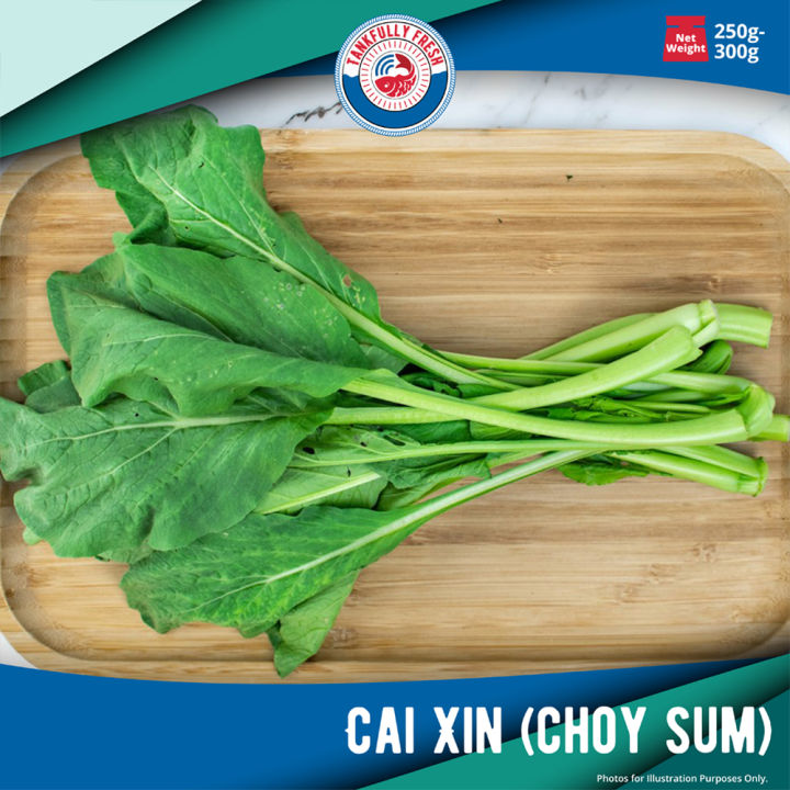Heartland Cai Xin Bundle of 3 菜心 (250g - 300g/pack) | Lazada Singapore
