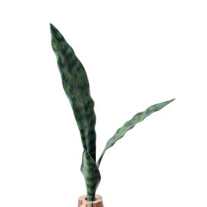 ZENO Soft PVC ArtifIcial Snake Plant Craft Photo Props Lifelike Greenery Creative Green Orchid Grass Home Decoration