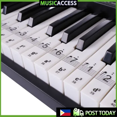 88/61/54/49 Key Transparent Color Piano Letter Notes Stickers Keyboard Hand Roll Piano Keyboard Transparent Stickers Notation