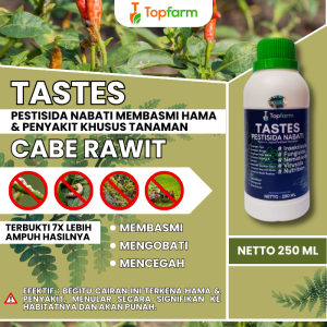 Obat Cabai Busuk Buah / Obat Busuk Buah Cabe Rawit / Obat Semprot Cabe / Obat Cabe Rawit / Obat Cabe Daun Keriting / Obat Buah Cabe Lebat / Booster Cabe