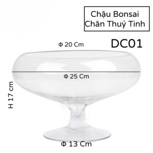 Chậu Thuỷ Tinh Nuôi Cá Trồng Cây Để Bàn Bonsai Chân DC01 - Bể Cá Thuỷ Tinh Đế Chân D20 Cm