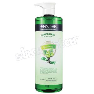 Easter Gooseberry Mildly Acidic Shampoo Hair Salon Naturally Derived Fragrant Low pH Shampoo K Beauty 1000ml