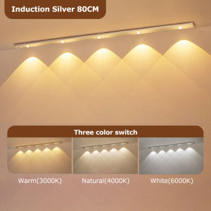 Warmtaste 80CM Wireless Led Motion Sensor Cabinet Light USB Rechargeable Wardrobe Lamp Magnetic Hanging Eye Protection 3 Color Dimming Room Night Light for Bedroom Kitchen Warm White 夜灯橱柜灯