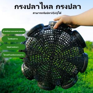 กรงตาข่ายดักปลา กุ้ง ปู ปลาไหล ปู 8 ช่อง