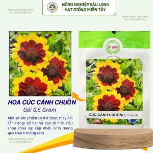Gói 0.5G Hạt Giống Hoa Cúc Cánh Chuồn Coreopsis – Cánh Đỏ Viền Vàng Thu Hút Ong Bướm Dễ Trồng