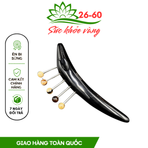 Lược Chải Sừng Thông Kinh Hoạt Lạc Dụng Cụ Lược Cạo Gió Chuyên Dụng