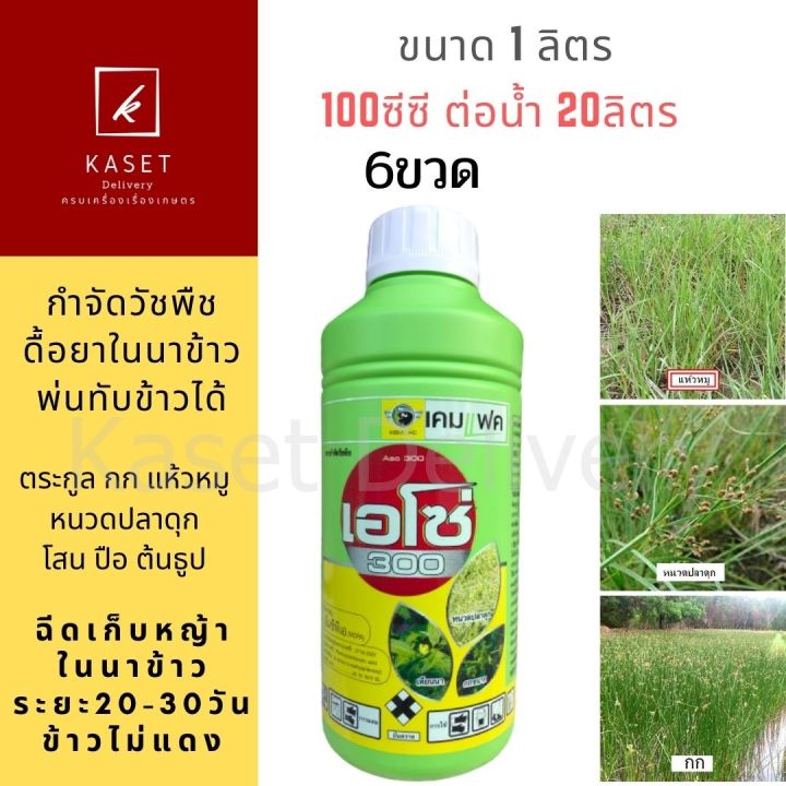 รวมยาปราบศัตรูพืชและวัชพืชยอดนิยมสำหรับพืชผลของคุณ ปี 2025