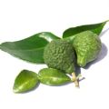 Rempah Ratus Mak Siti Daun Limau Purut dalam botol Kaffir Lime Leaves in a Bottle. 