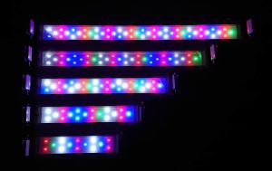 Bóng Đèn Led XML 2 Hàng Bóng XML-40. Đèn Led Thủy Tinh Xuanmeilong Chuyên Dụng Cho Cá Cảnh. Phụ Kiện Hồ Cá Bóng Đèn Led 2 Hàng Bóng XML-40