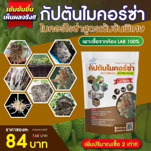 ไมคอร์ไรซ่า กัปตัน สูตรเข้มข้น เชื้อ 2 เท่า อัพอาหารเชื้อ (100กรัม)  เพาะเชื้อจาก LAB ปลอดภัย 100%