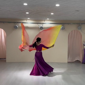2Pcs Praise Dance Flags Semicircle Wing Flags Praise Dance Worship Flags with Scalable Rod for Dance Church
