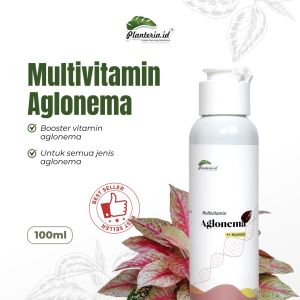 Multivitamin aglonema pupuk aglonema pengemuk aglonema ramah lingkungan dan segar