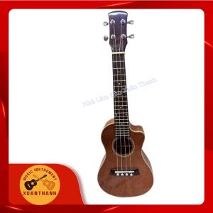 Đàn UKULELE Gỗ Hồng Đào PU Bóng Size Số 2 DUKU-HD2