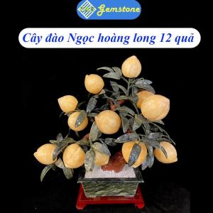 Cây Đào Tài Lộc PAG Đá Ngọc Hoàng Long Tự Nhiên Trang Trí Nhà Cửa