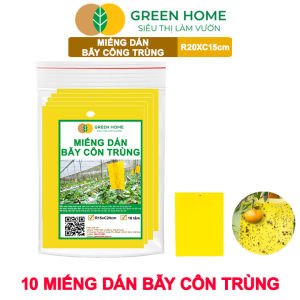 Bộ 10 Miếng Dán Bẫy Côn Trùng GreenHome R20xC15cm 2 Mặt Hiệu Quả Tiết Kiệm Chi Phí Dễ Sử Dụng