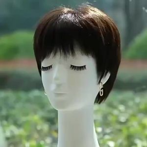 Short Straight Silk Top Human Hair Wigs for Women Full Machine Natural Wig Mother Gift