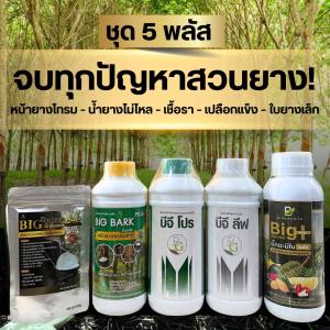 BG ชุด 5 พลัส จบทุกปัญหาสวนยาง หน้ายางตายนึ่ง น้ำยางไม่ไหล เชื้อรา เปลือกแข็ง ใบเล็ก ฟื้นฟูสวนยางด้วย 5 ตัวเด็ด ครบสูตร