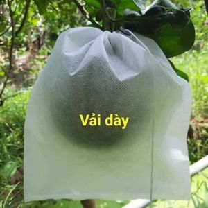 [ 100 Cái 30*35 Túi Vải ] TÚI BAO BỌC TRÁI BƯỞI DƯA LƯỚI...- TÚI BAO BỌC TRÁI CÂY