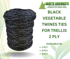 ARNETH 4 PLY PLASTIC TWINE PAMBALAG and other TWINES TIES FOR TRELLIS AND HOLDING PLANTS / BANANA TWINE VEGETABLE TWINES (1 ROLL)