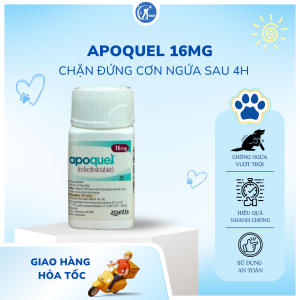 Combo 14 viên APOQUEL kiểm soát cơn ngứa do viêm da dị ứng viêm da cơ địa trên chó