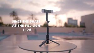 L12D L12 Selfie Stick with Upgraded Tripod Selfie Stick with 2 Fill Light Extra Long 44.9 inch Phone Tripod with Detachable Remote